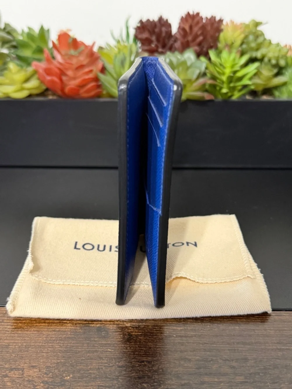 Louis Vuitton Blue Taigarama Monogram Pocket Organizer